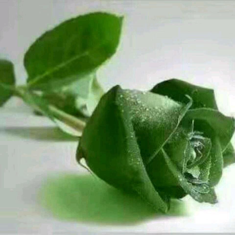 এꦿ℘゜Silence