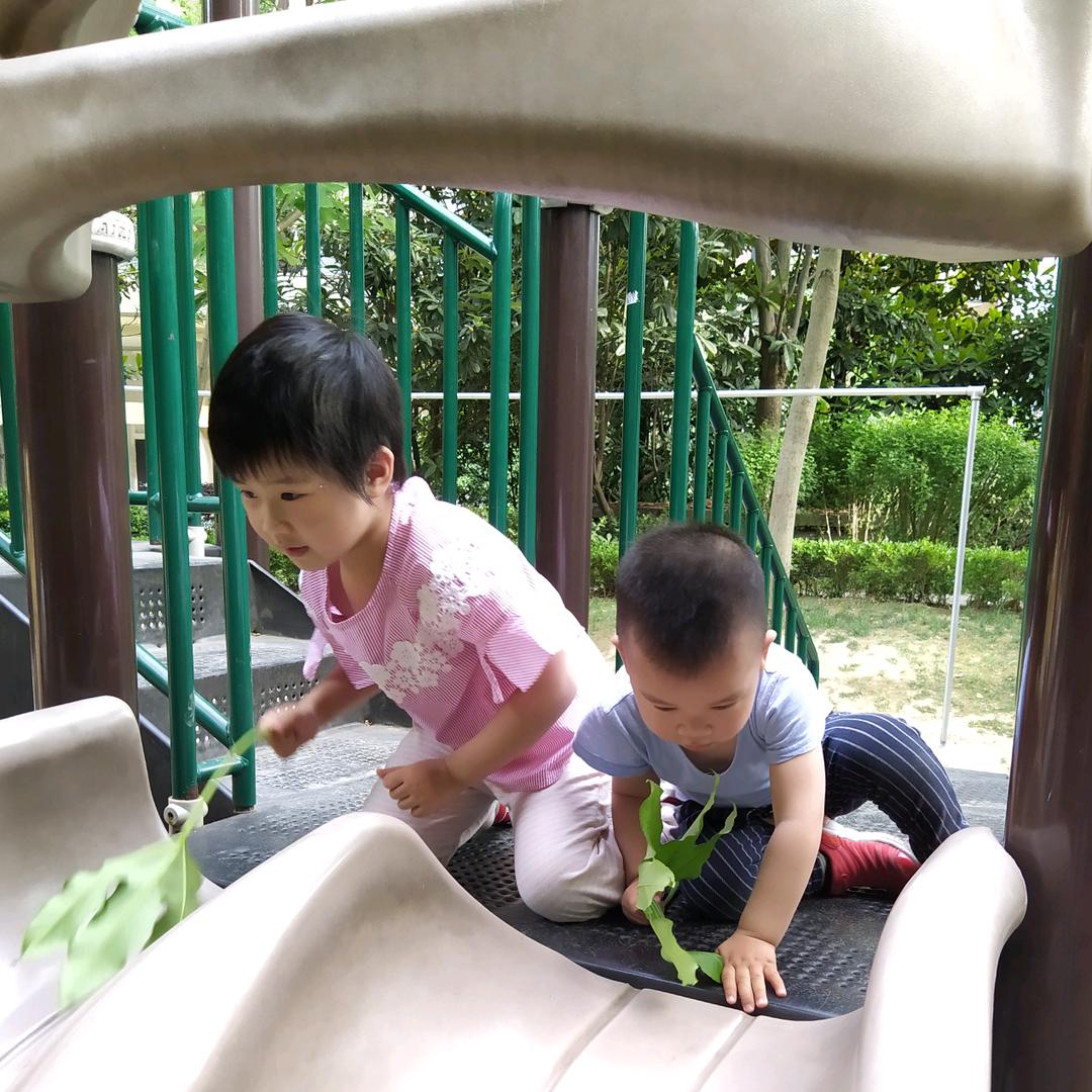 水清鑫蕊