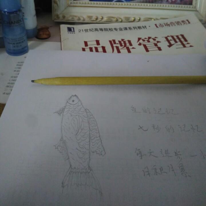 风信子