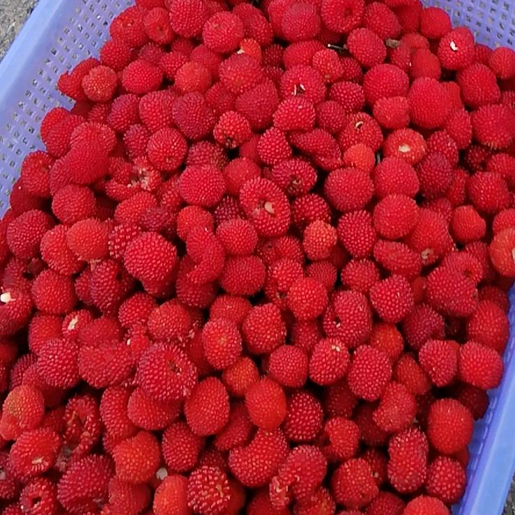 无言的结局