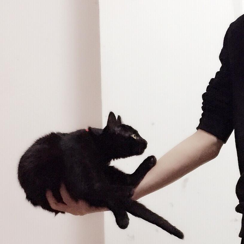 🐱CCX🥤