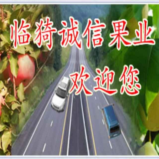 临猗硕丰冰糖心原产地