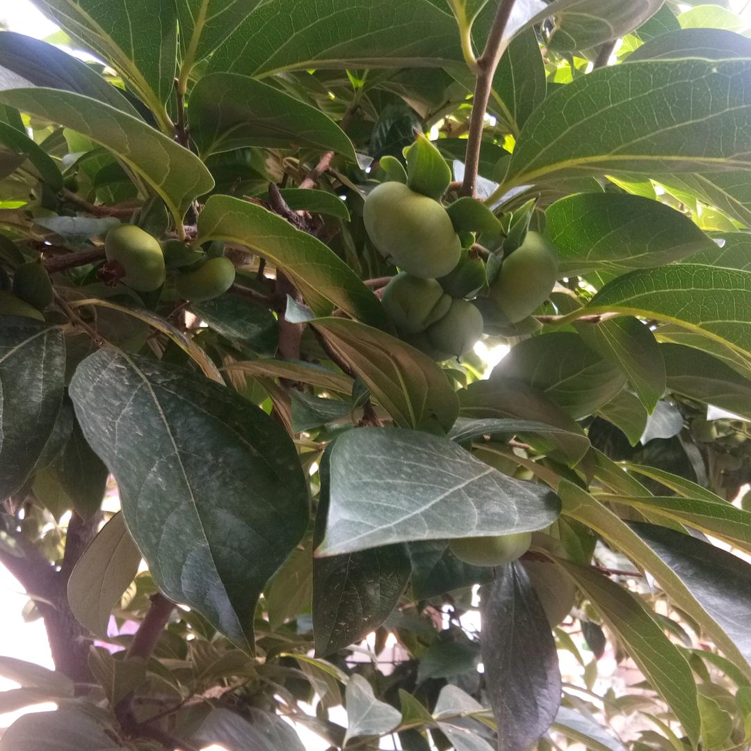 防腐保温专业队伍