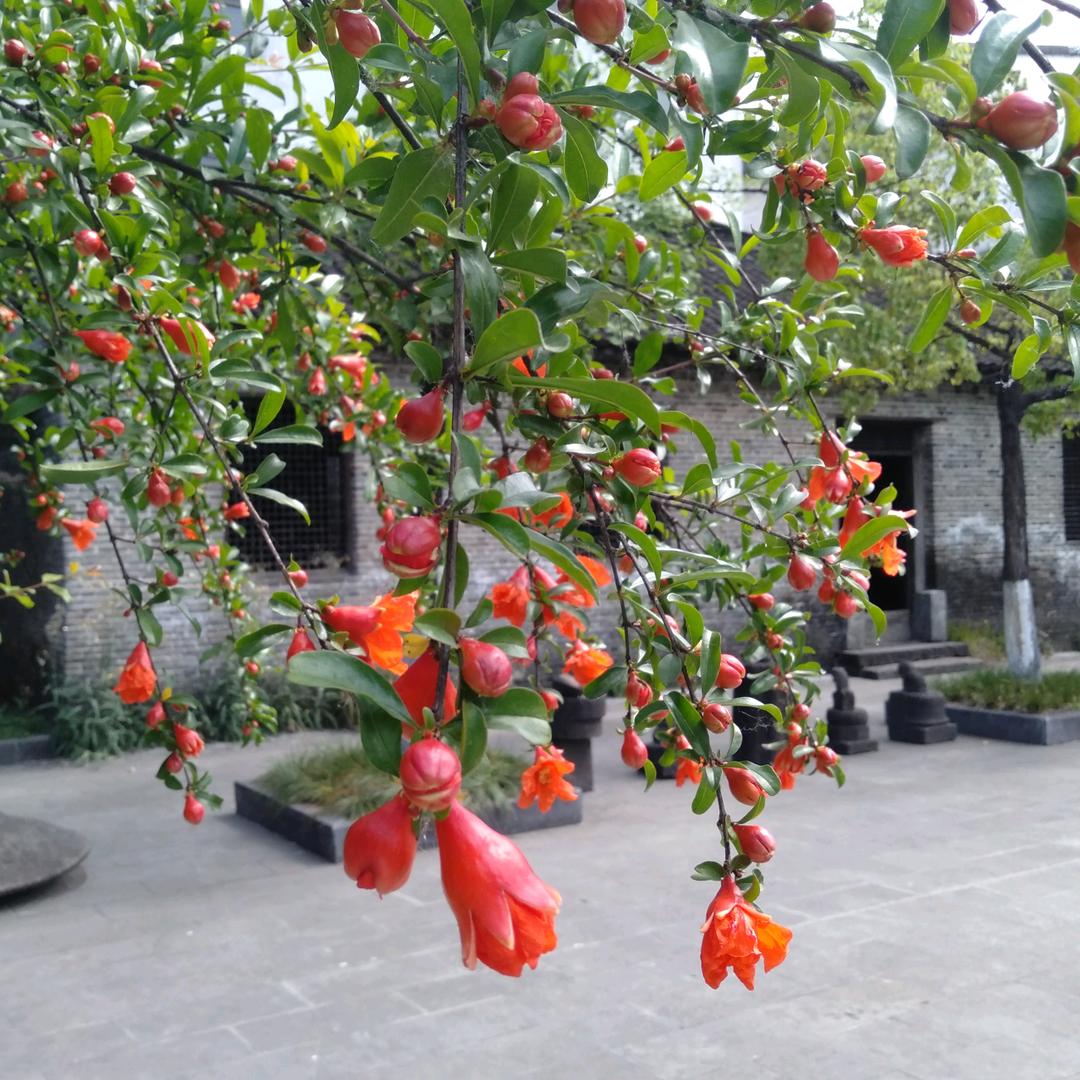 耿集佰易莱超市
