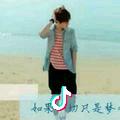 小陈看深圳