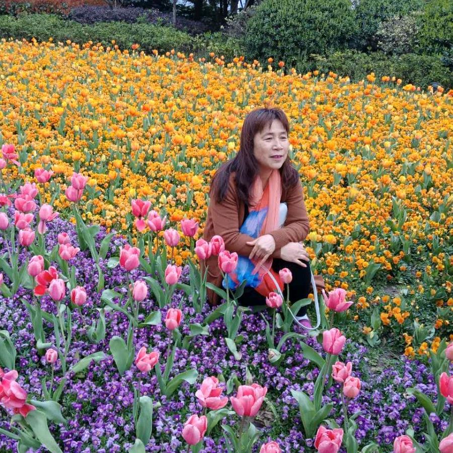 杨紫英