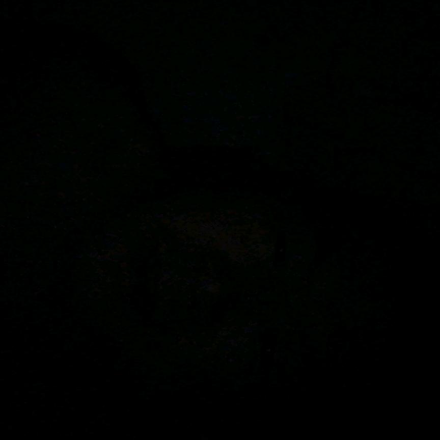元宝