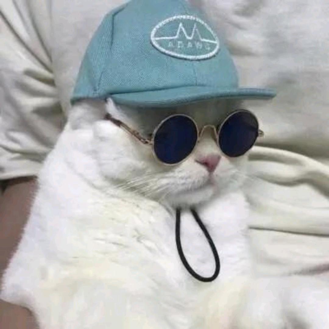 如 也。