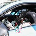 枫本无心PetrolHeads
