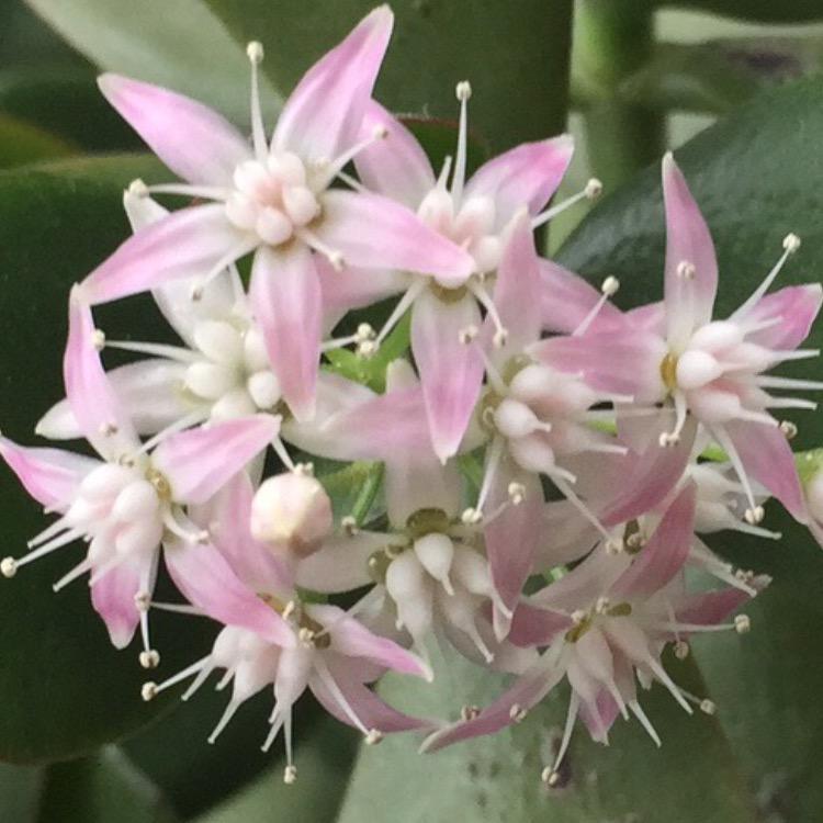 棒棒堂宝宝成长乐园