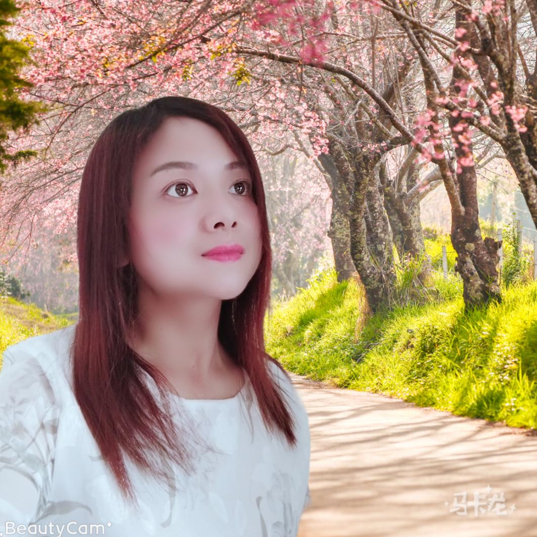 雨后彩红