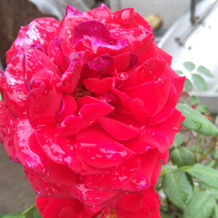 云朵《拒绝私聊 》