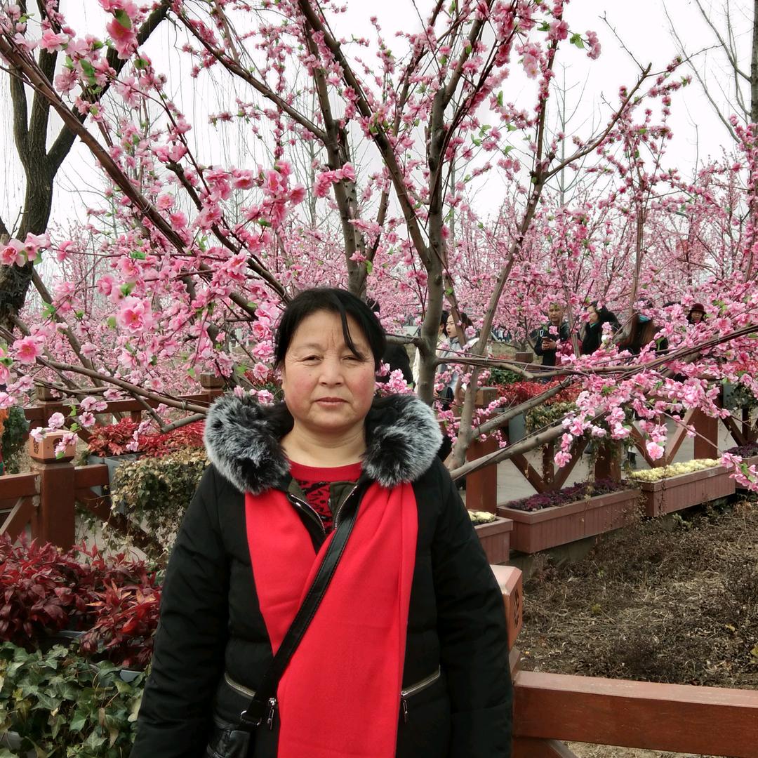 十里桃花