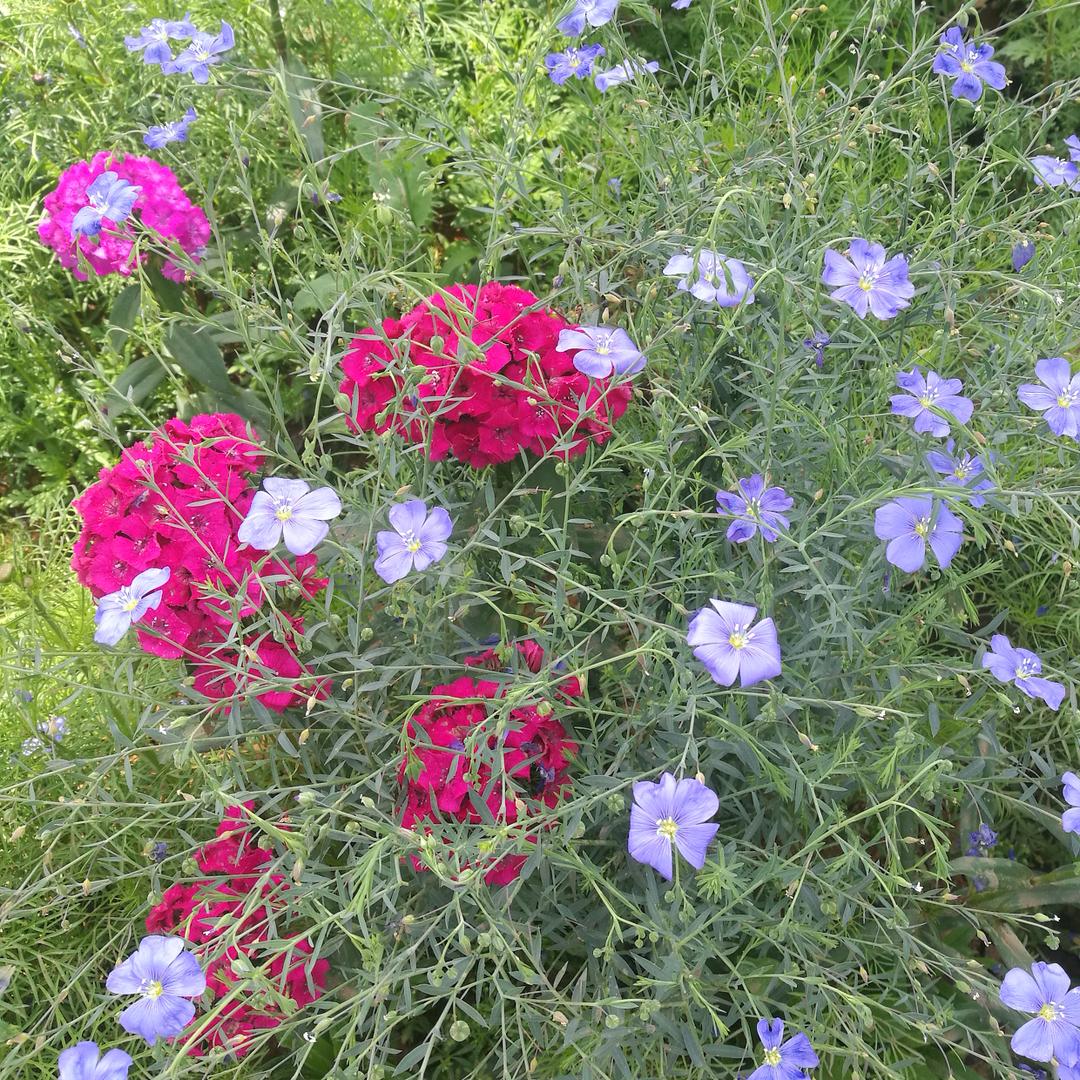 笑看人生人看笑