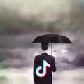 许进