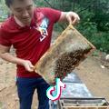 A永不放弃
