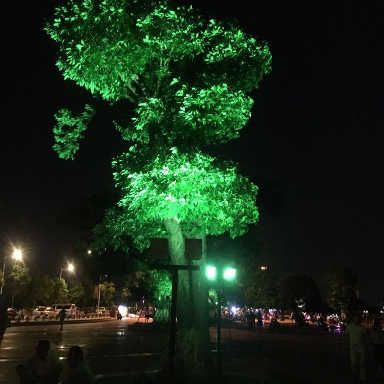 一切皆有可能？