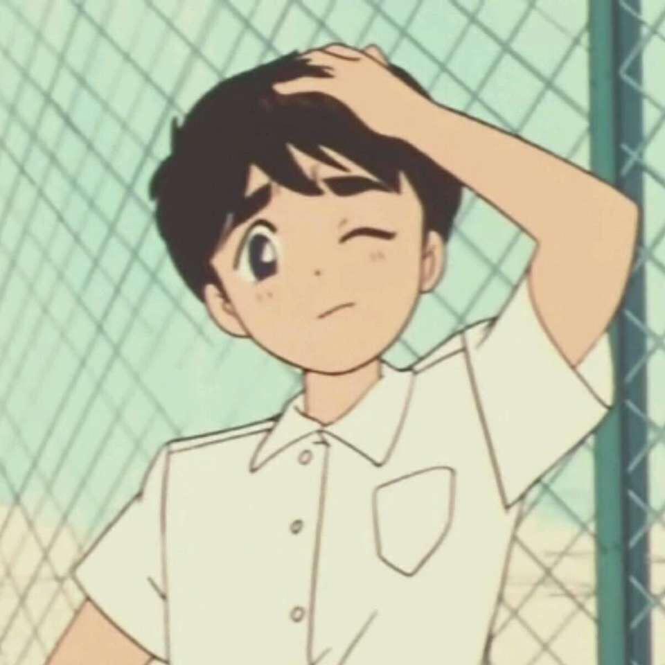 喵新