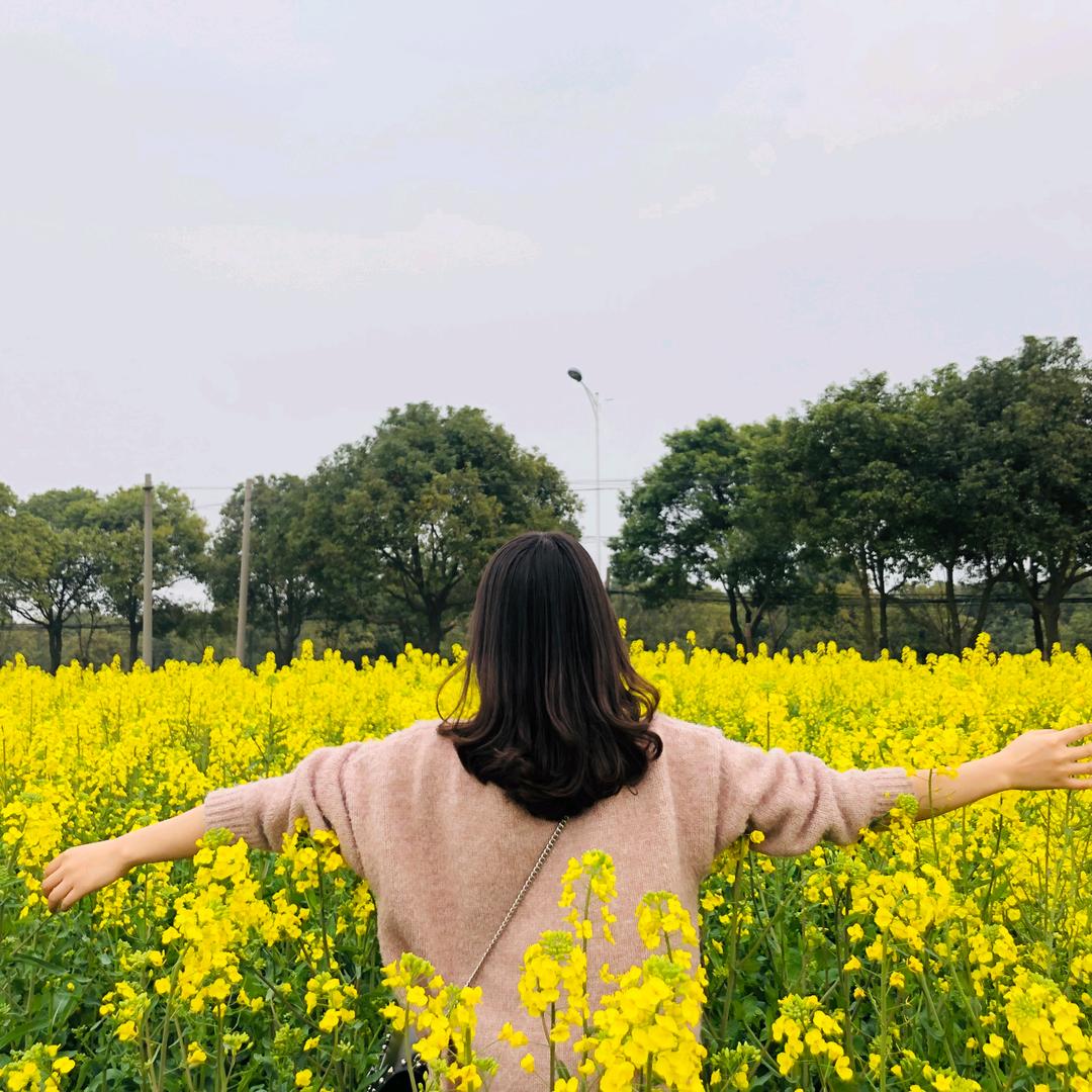 柚子味的汽泡