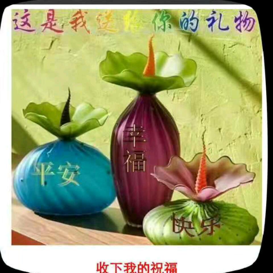 蝴蝶飞飞*