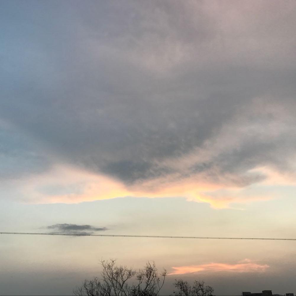 柚子不诱🍋🍋