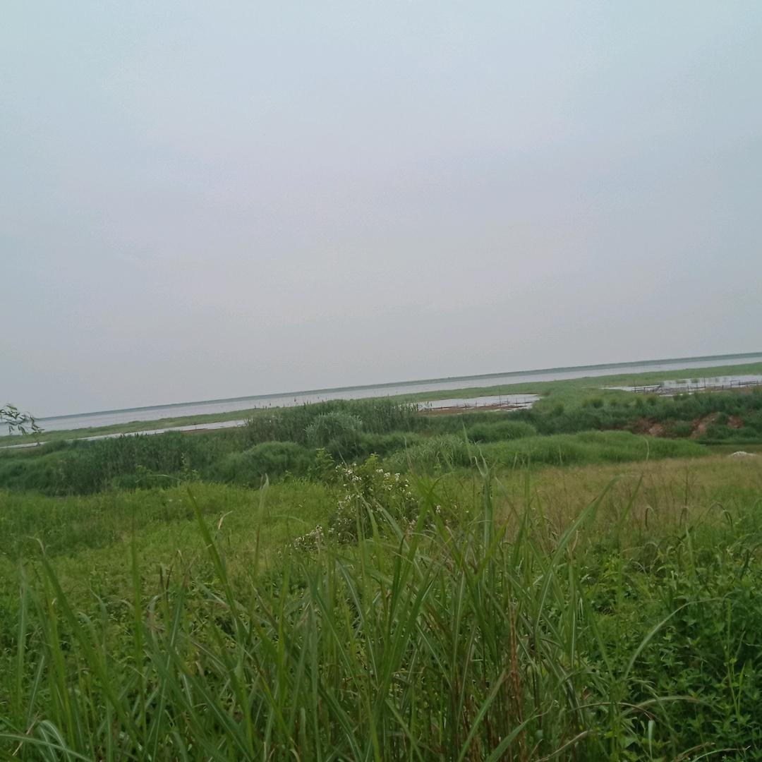 阅读者