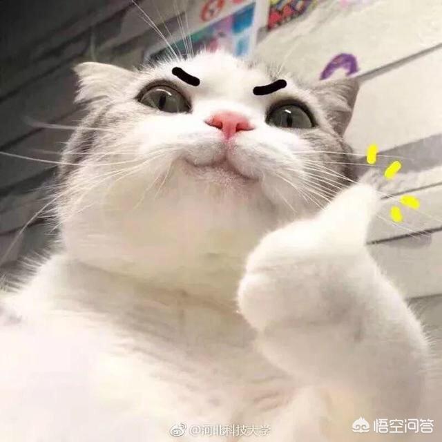 33333