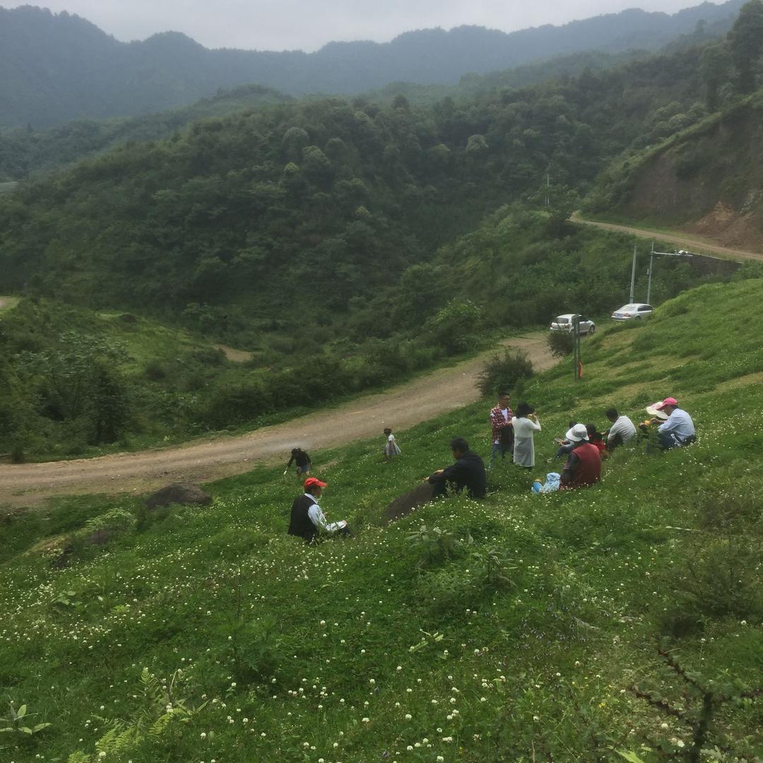 鼎威集成灶