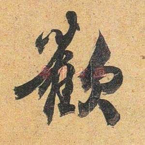 淮滨豫淮农业科技