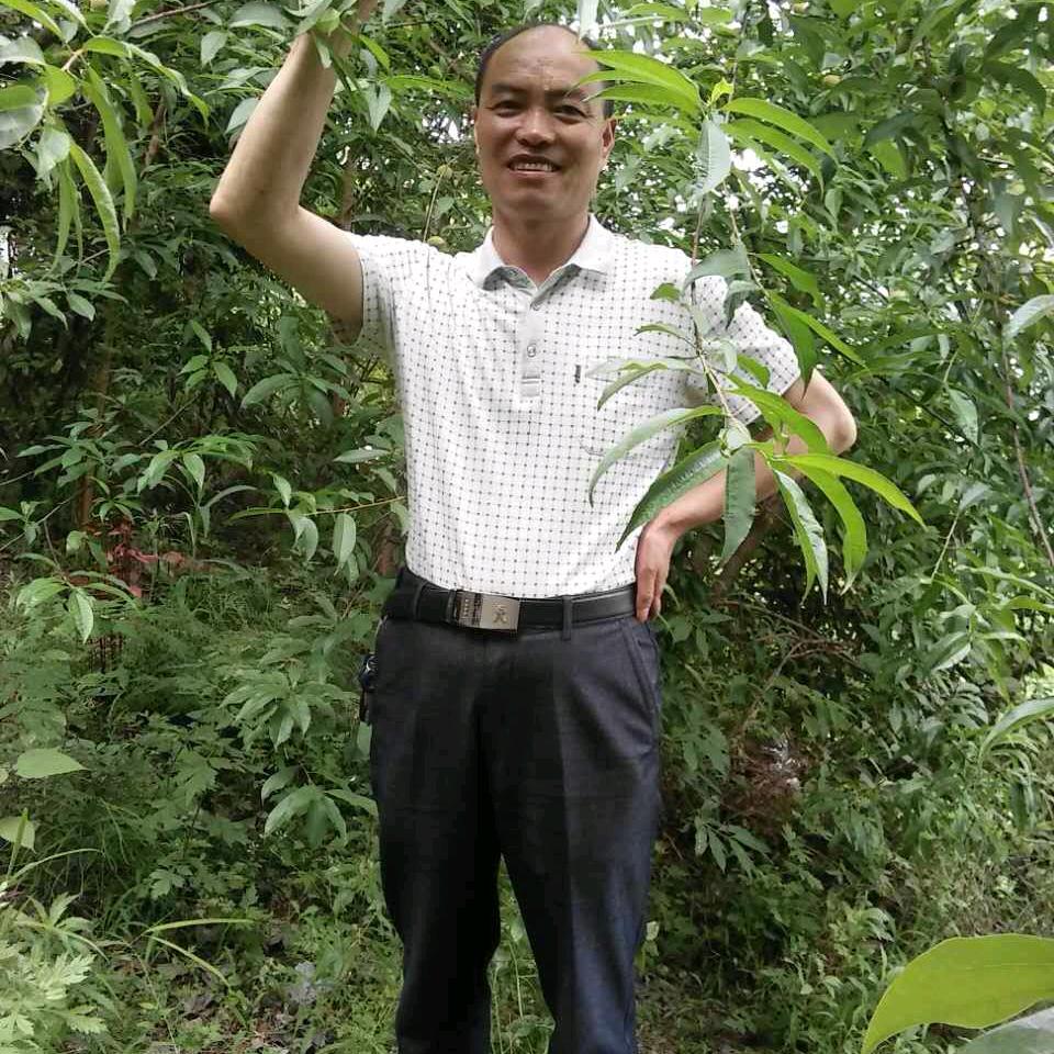 开州区的一匹哥