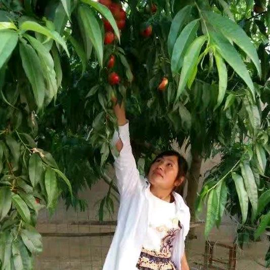 八零后鲜花蔬菜种植