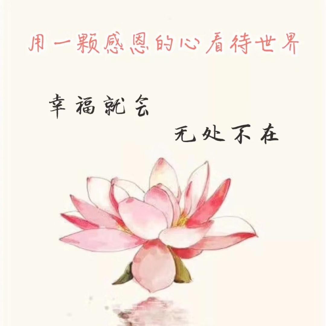 德净