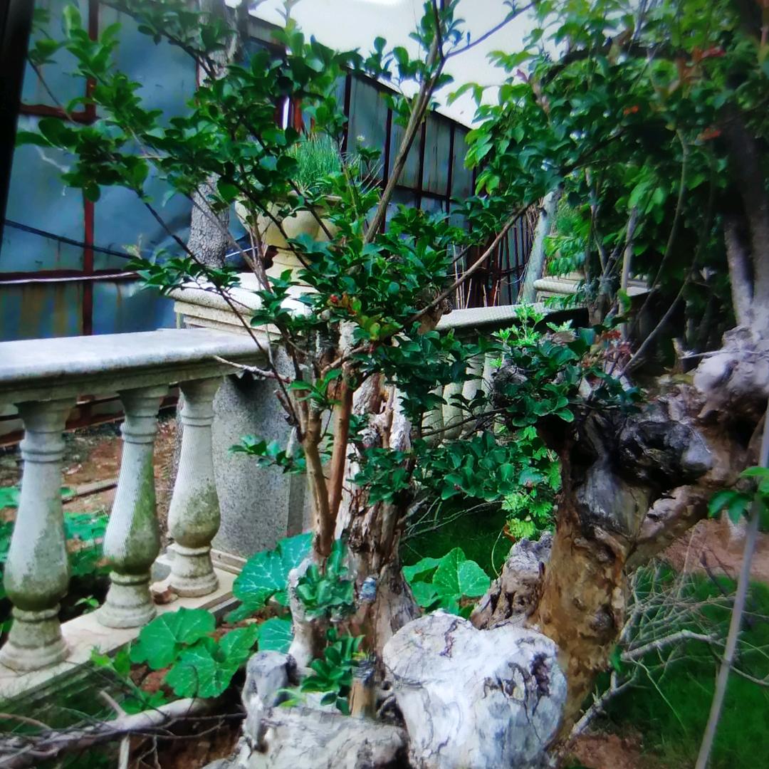 平安幸福