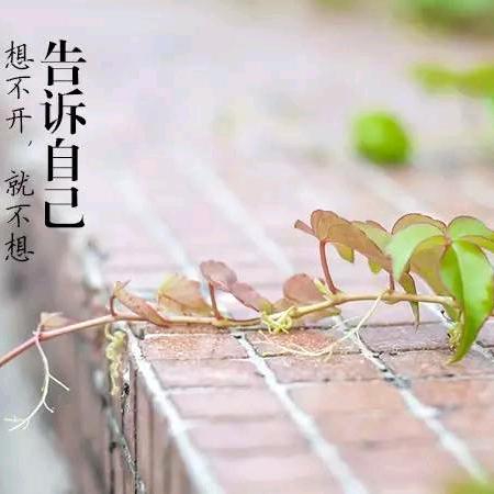 你有多努力就有多幸运