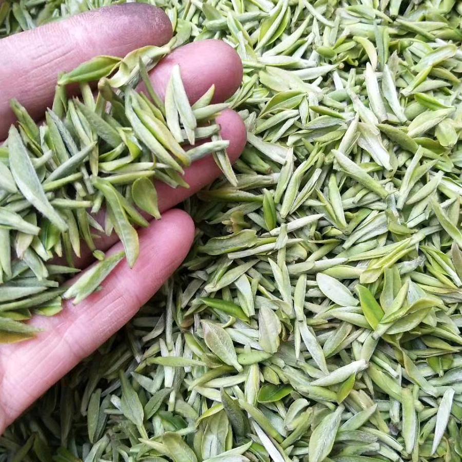 寻找缘分《关注必点》