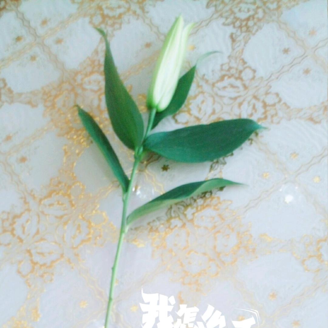 冰淇淋的眼泪