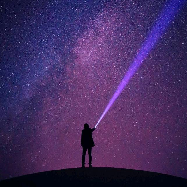 最大努力最归置