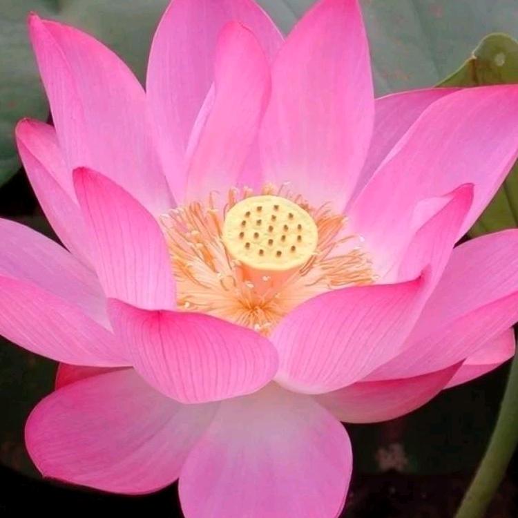 70后的我，，，加油