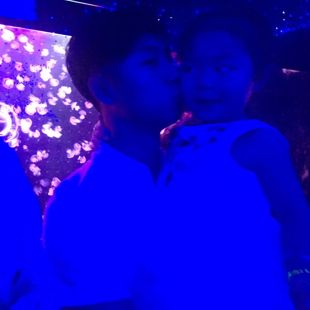 喵了个咪ฅ՞•ﻌ•՞ฅ