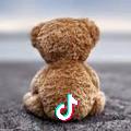 🐻