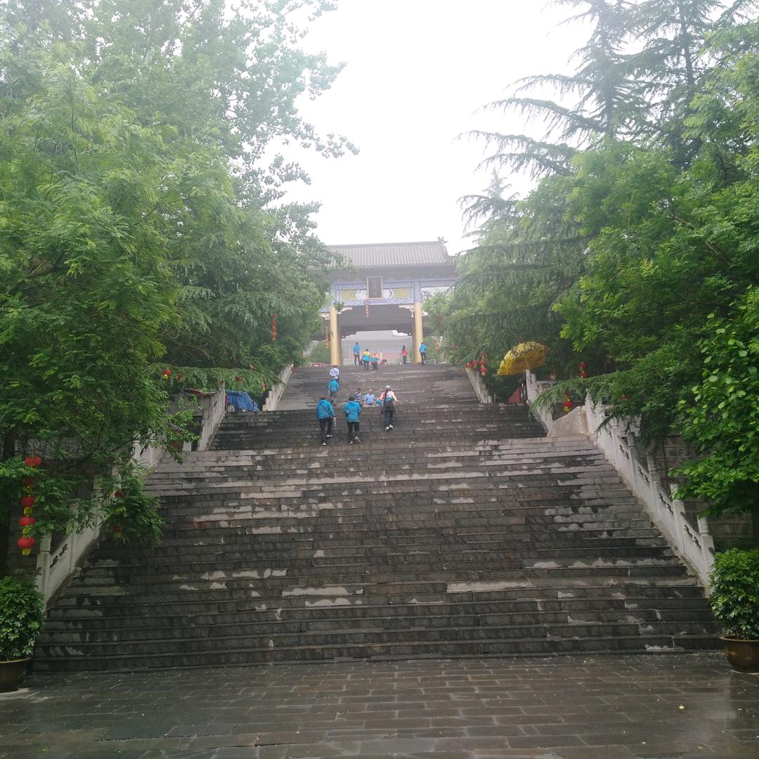 我要飞