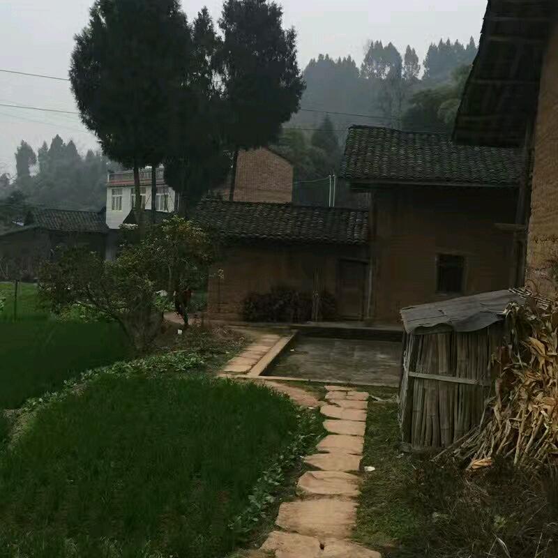 蓉儿