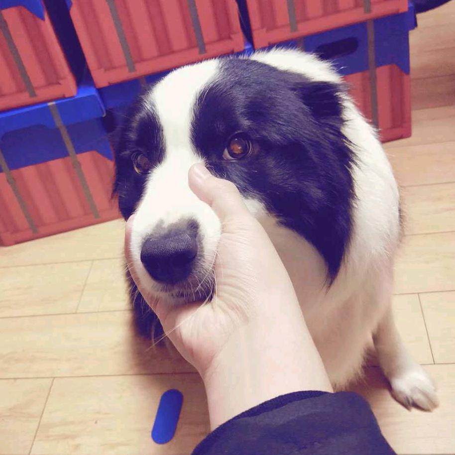 秦牧