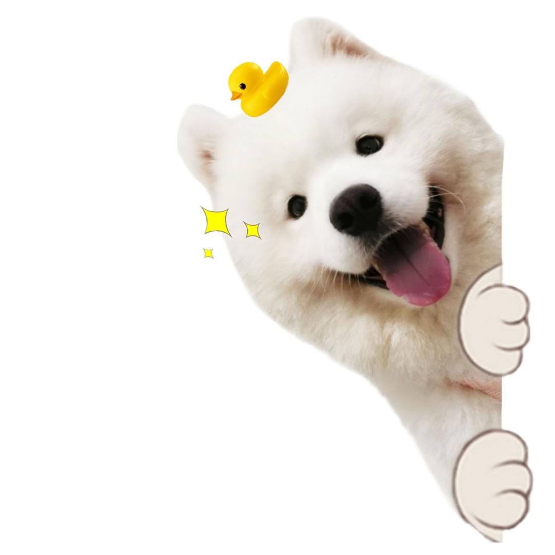 肥皂的日记@抖音