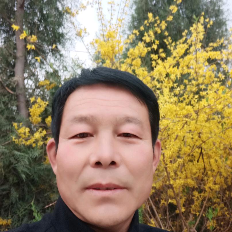 有你真好