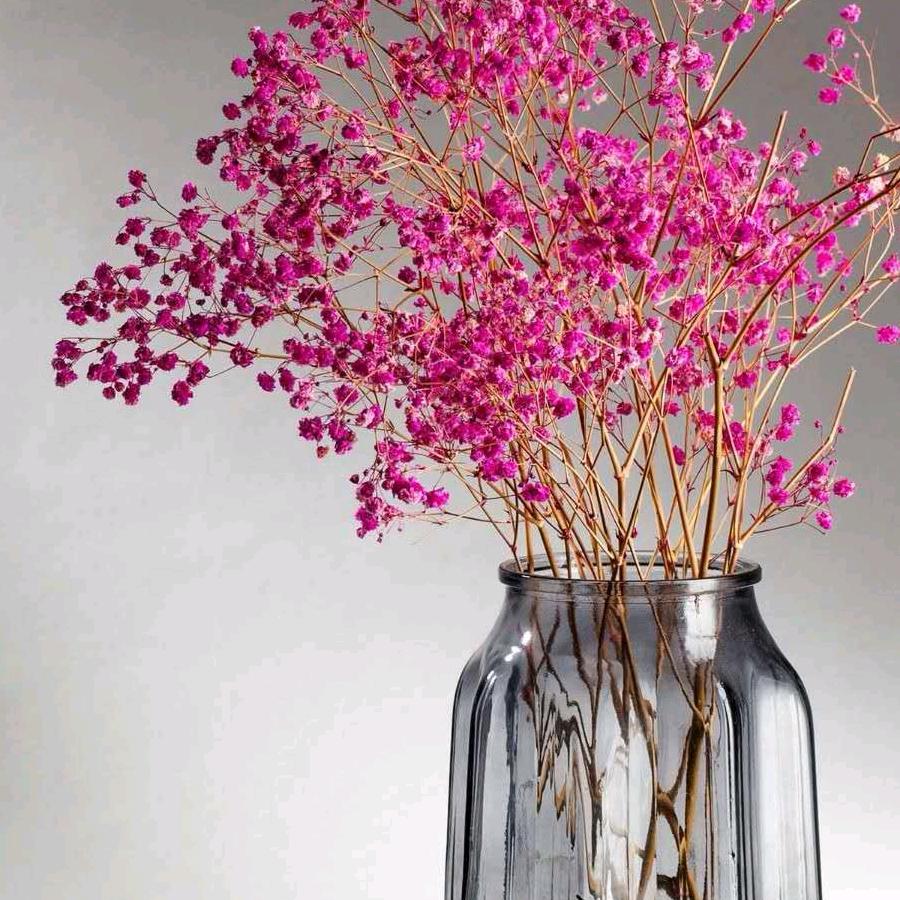 雨后彩虹🎉🎉