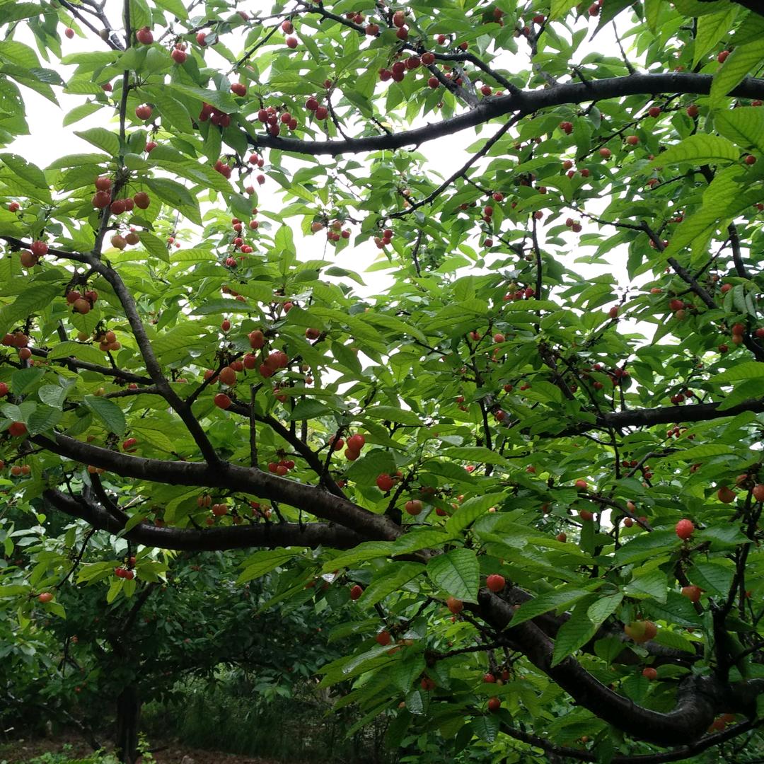 让子弹多飞一会