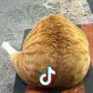TheeeeOne