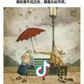 流星雨
