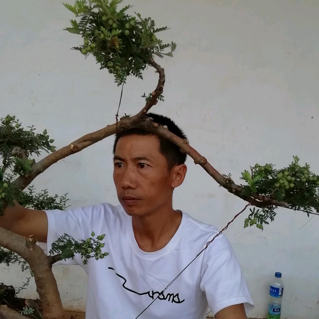 千百态石景园苗圃